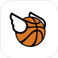 Flappy Dunk