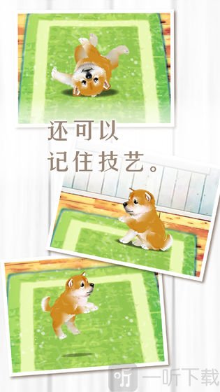 养育柴犬的治愈游戏