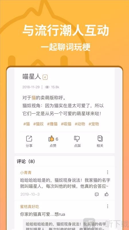 小鸡词典