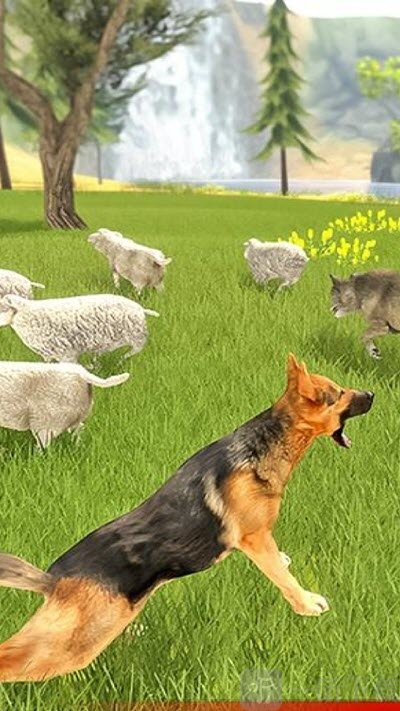 牧羊犬模拟器