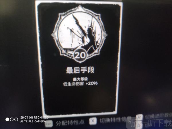 遗迹灰烬重生流血将军套如何搭 流血将军套配装推荐
