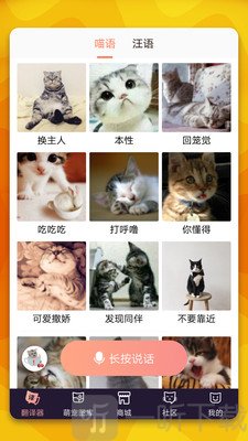 猫语翻译器