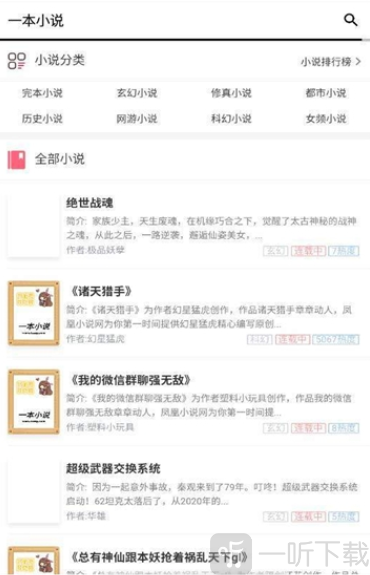 一本小说