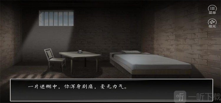 疯人院十日