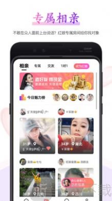 小鹊桥相亲平台