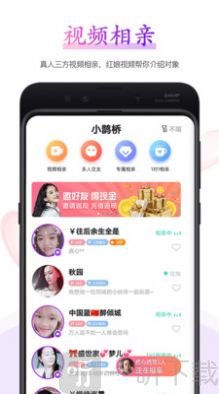 小鹊桥相亲平台