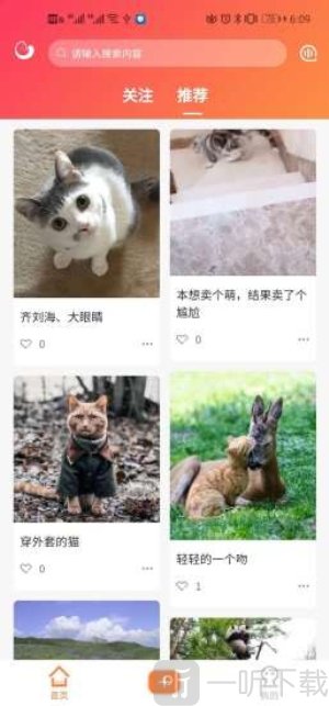 团纸日记