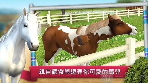 骑马越障比赛