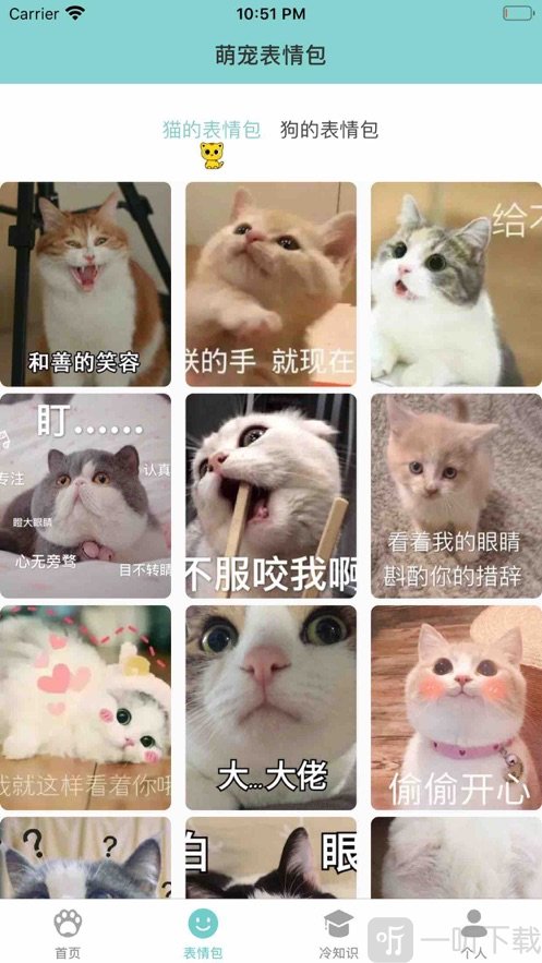猫狗交流翻译