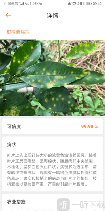 耘眼
