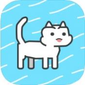 猫咪爱吃鱼