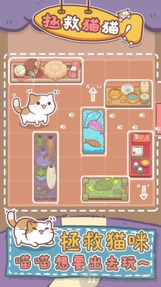 拯救猫猫2020