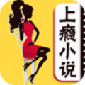 上瘾小说