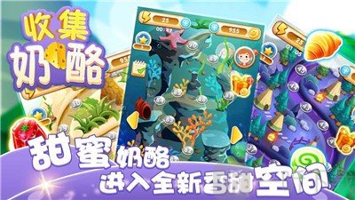 收集奶酪