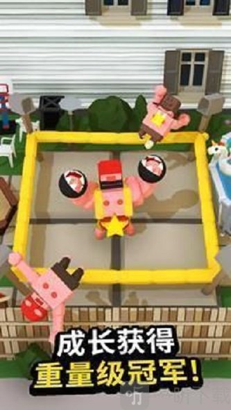 肉感拳击手