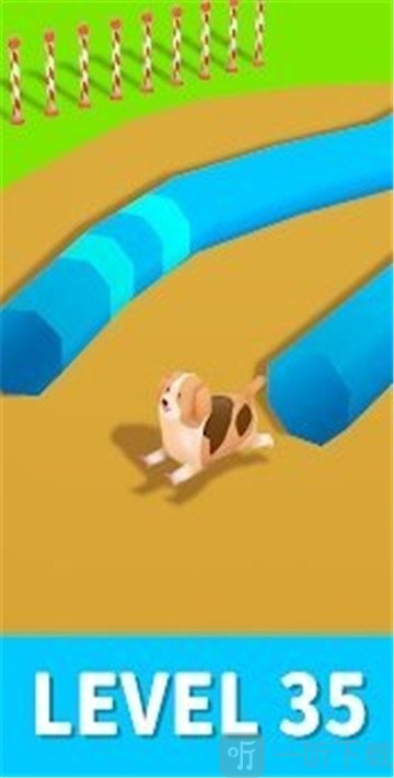 狗狗学院