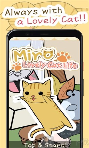 米罗猫咪