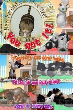 爪鹤猫