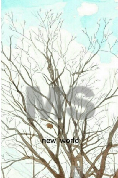 MS绅士库