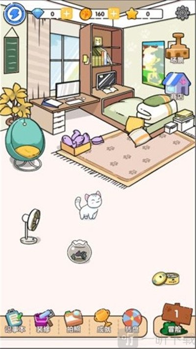 猫咪小舍