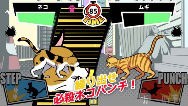 一击必杀猫咪拳2020