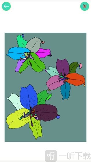 植物填色画画