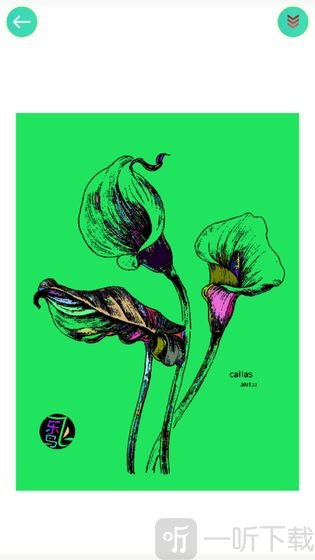 植物填色画画