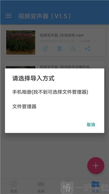 视频变声器