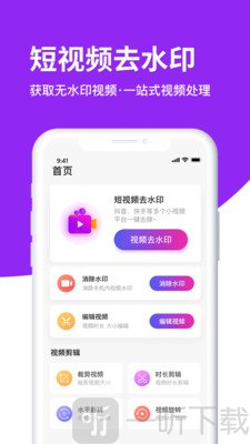 视频去水印大师