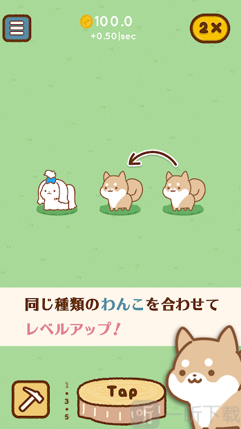 狗狗全明星