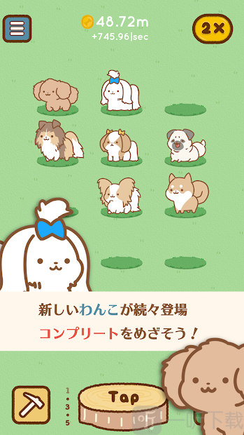 狗狗全明星