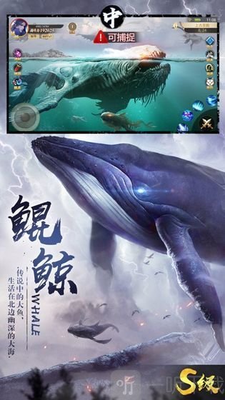 山海经不死神兽