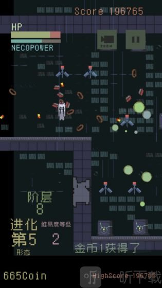 猫咪狂想曲