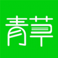 青草掌文