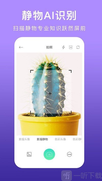 美术拍