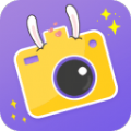 Face Sticker