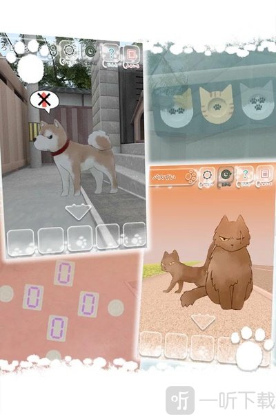 迷路猫咪的故事