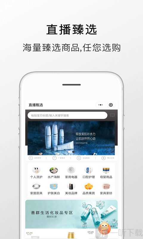 善群