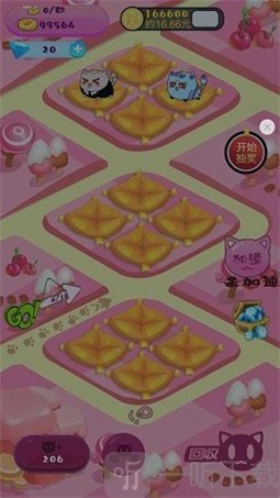 开心猫猫