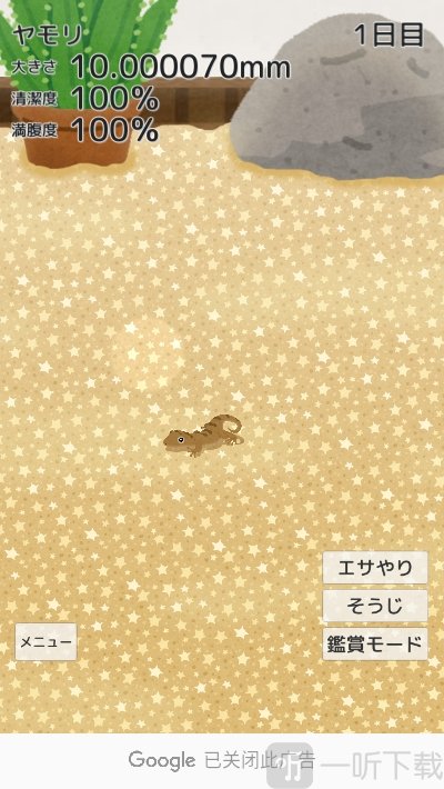 育成疗愈壁虎
