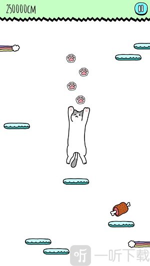 空中猫咪