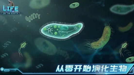 地球上的生命闲置进化