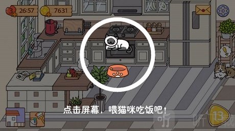 喵家设计师