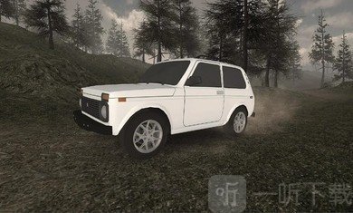 森林驾车