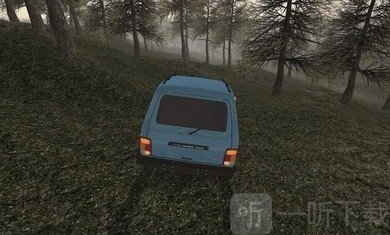 森林驾车