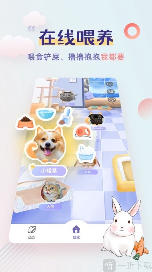 半侣云养宠