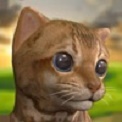 我可爱的小猫