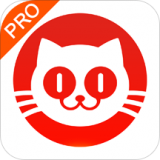 猫眼