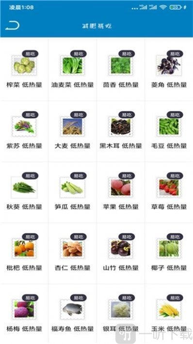 Try减肥瘦身