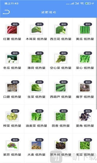 Fit瘦身减肥